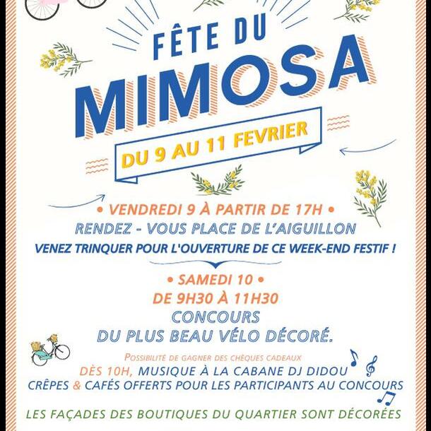 Fête du Mimosa